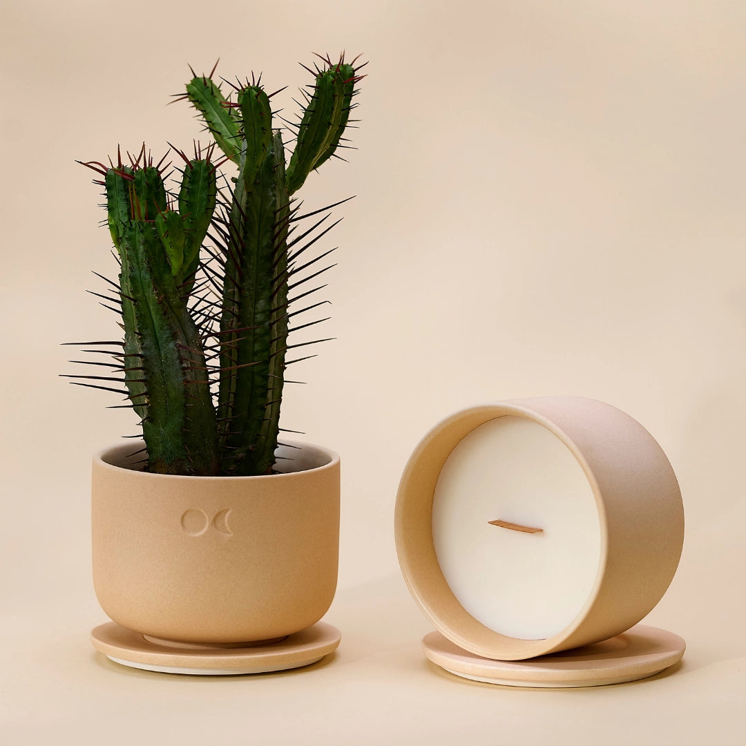 Bougie florale en céramique – Ambre