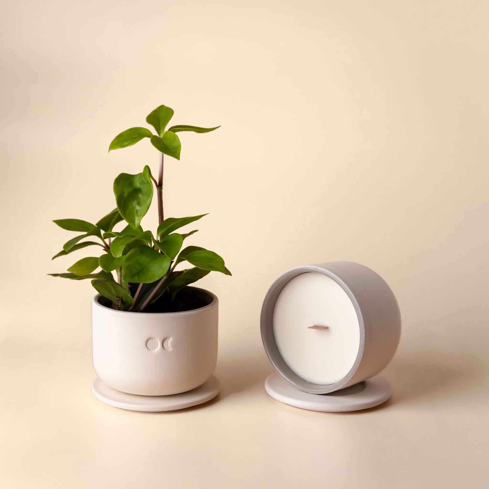 Bougie florale en céramique – Cèdre et Patchouli