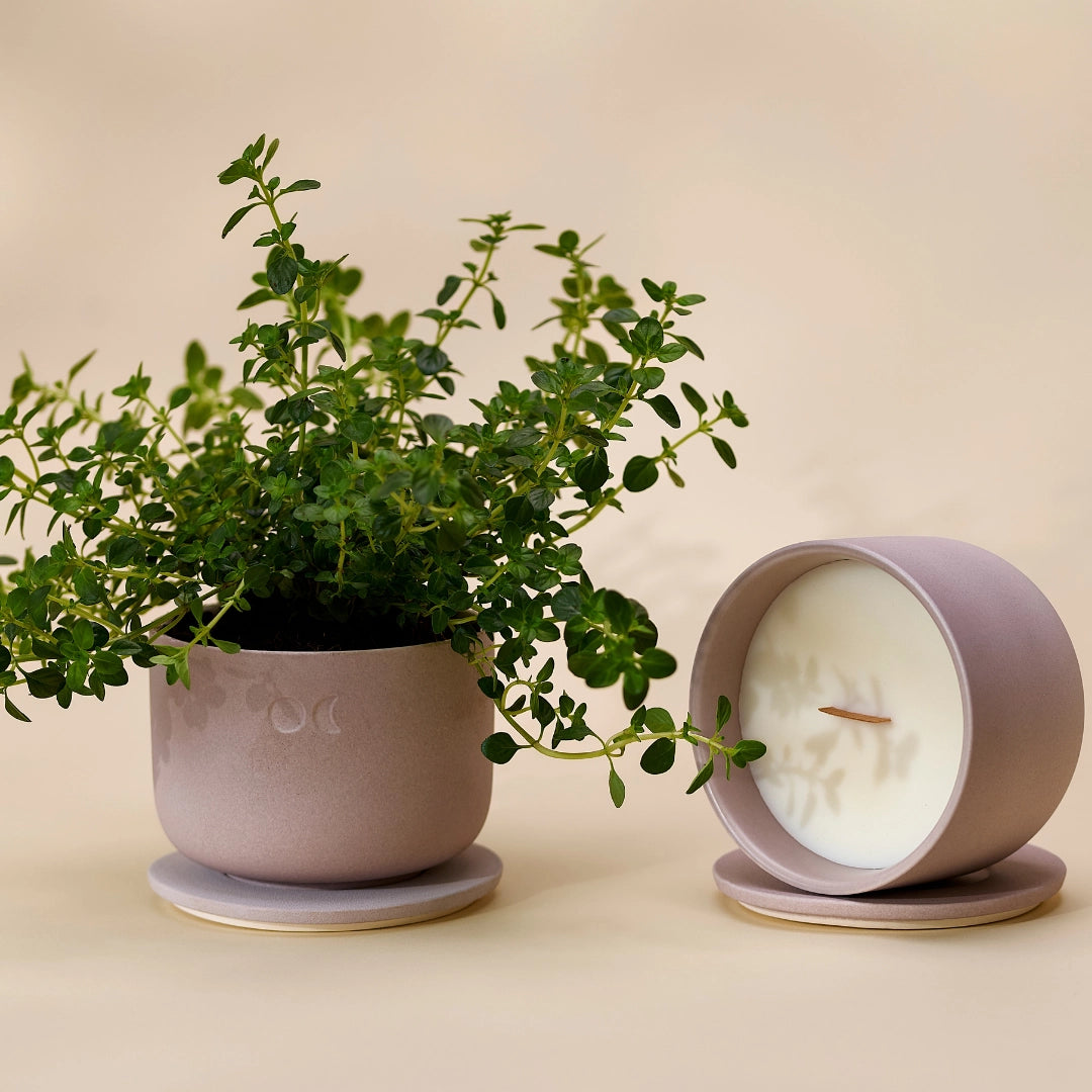 Bougie florale en céramique – Poire anglaise et freesia