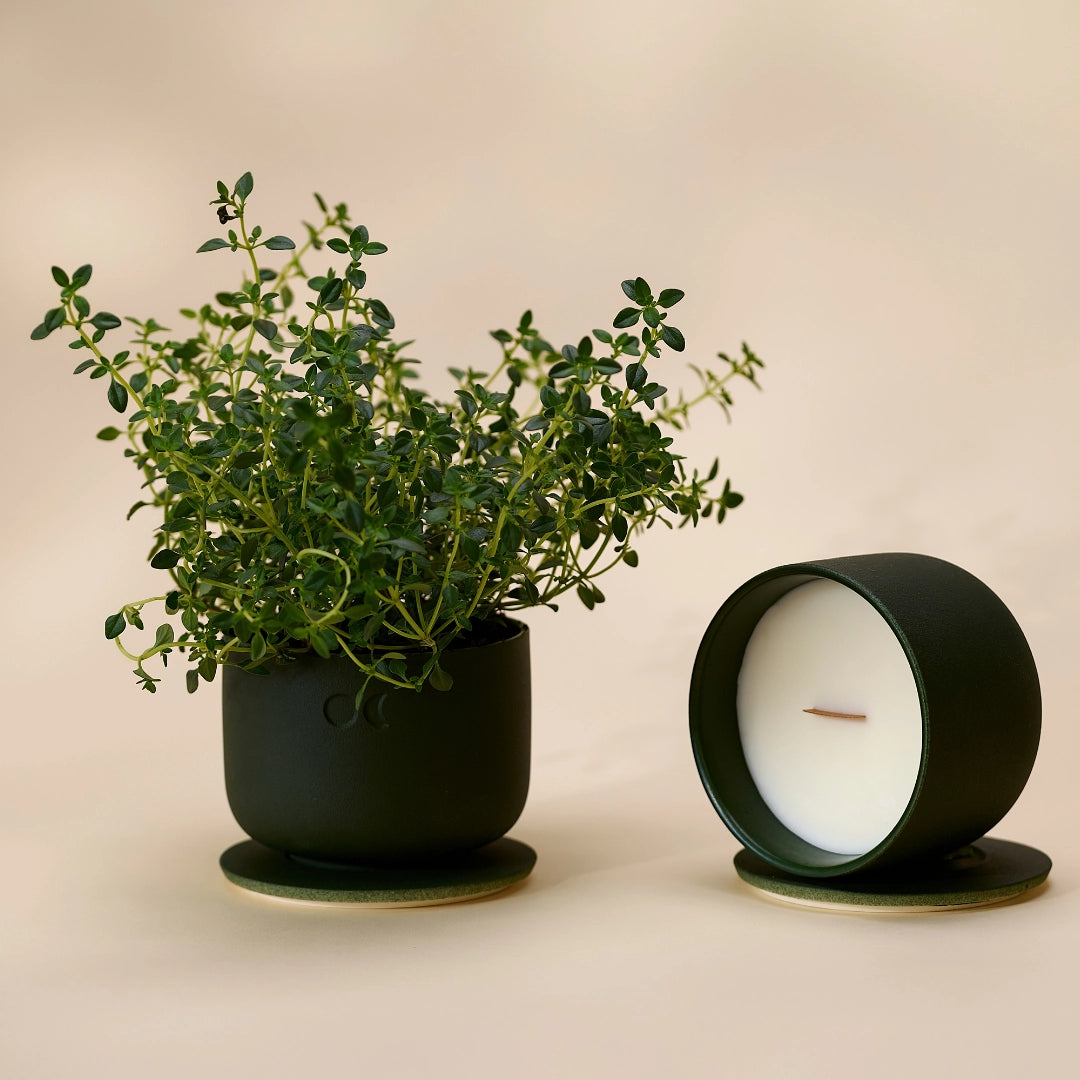 Bougie florale en céramique – Genévrier Lavande