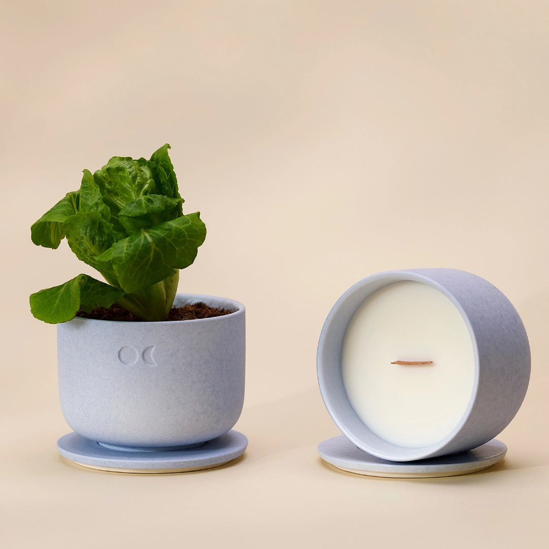 Bougie florale en céramique – Citronnelle Bergamote