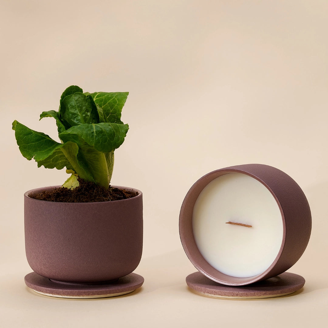 Bougie florale en céramique – Citron vert, basilic et agrumes