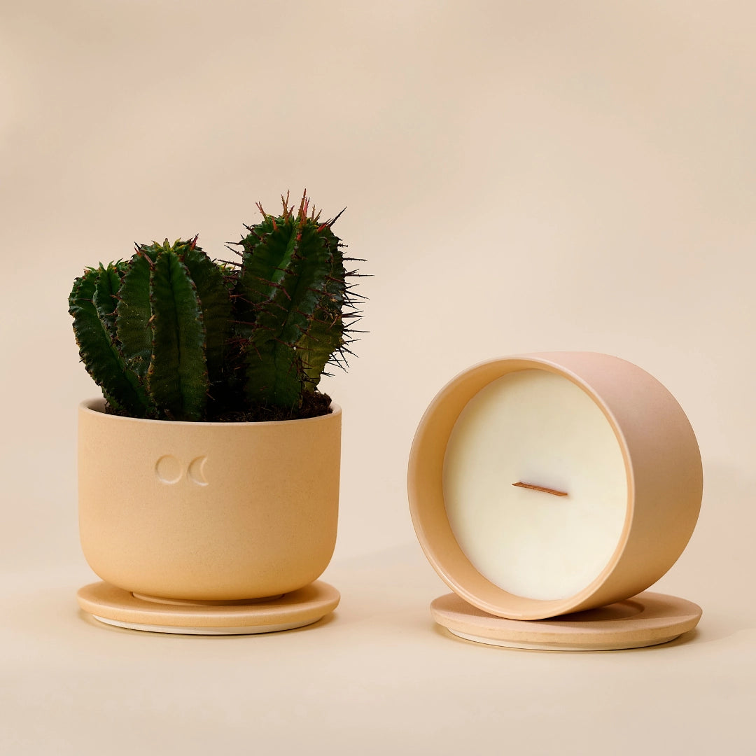 Bougie fleurie en céramique – Jasmin