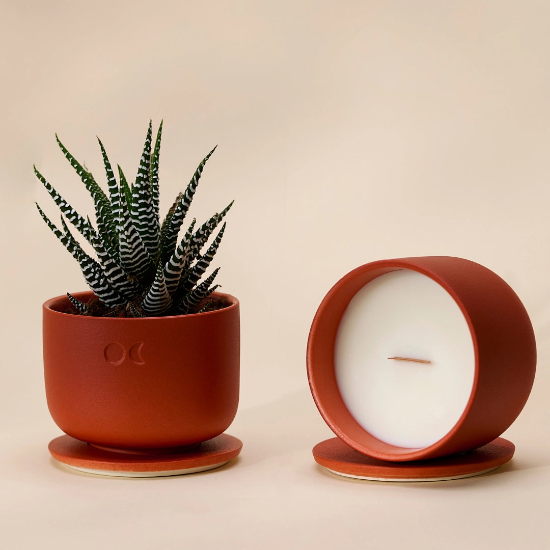 Bougie florale en céramique – Bois de santal