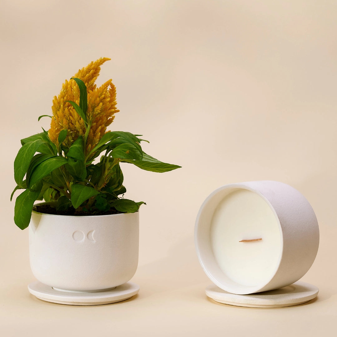 Bougie florale en céramique – Sel marin et sauge